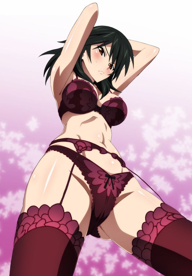 1girl arms_up black_hair blush bra brown_eyes from_below garter_belt highres infinite_stratos kekke legwear lingerie navel orimura_chifuyu panties red_bra red_legwear red_panties solo thighhighs thighs underwear underwear_only