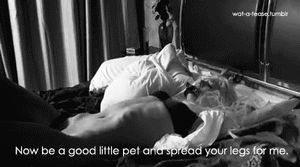 Adam & Chloe (pt. 2)