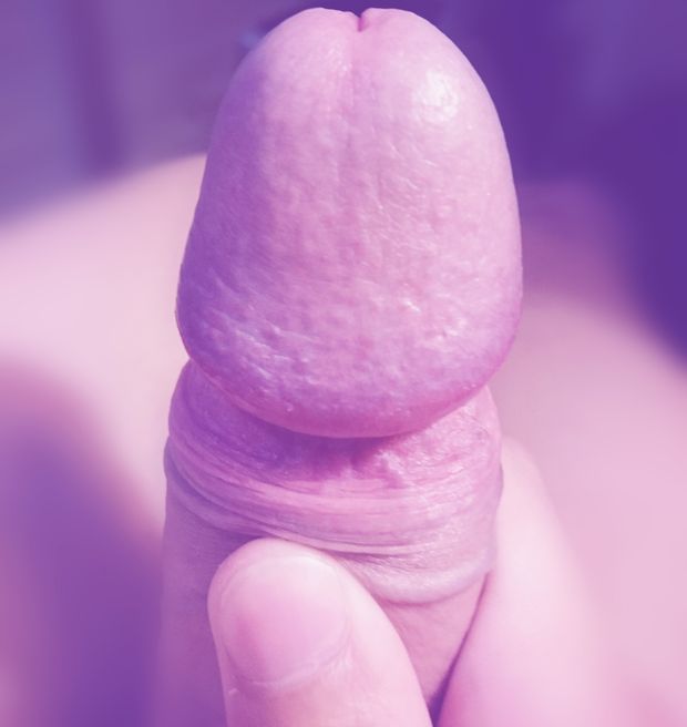Glans ..