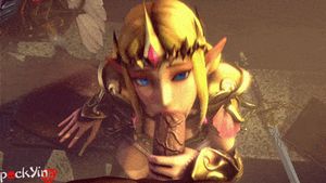 hyrule warriors zelda bj pockyin
