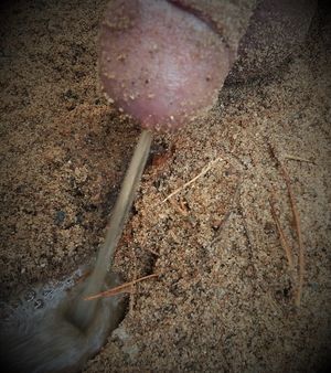 me peeing outside in the sand