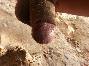 me peeing outside in the sand