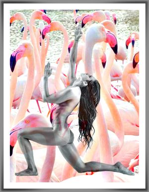 Funny artistic flamingoes with naked hottie yoga pose.