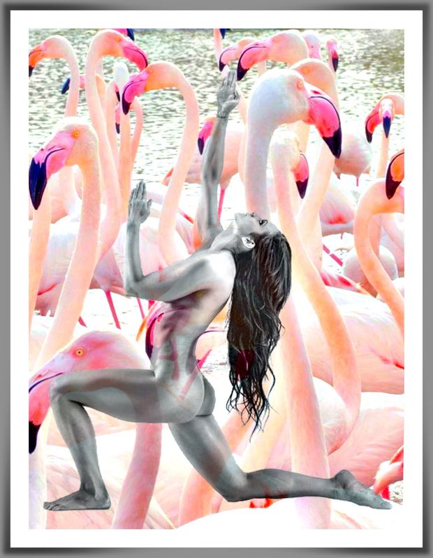 Funny artistic flamingoes with naked hottie yoga pose.