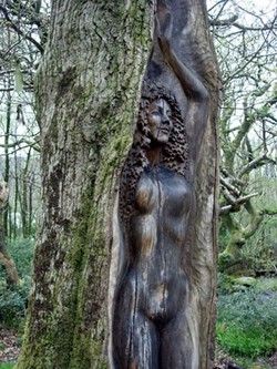 Beautiful woodwork