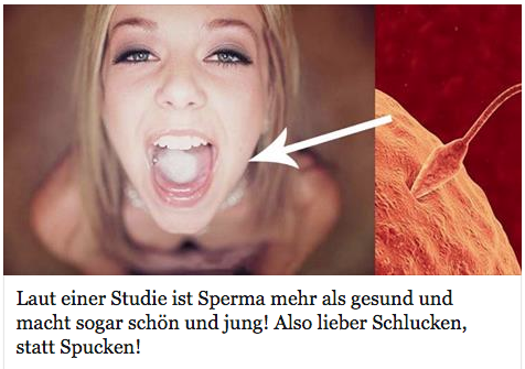 Ger Studie