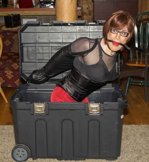 Homebrewed Femdom advice (femdomtips): null
