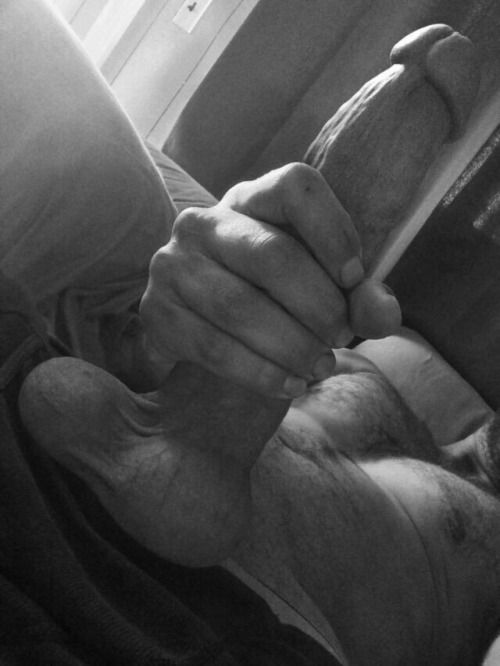 penispicsblog.tumblr.com