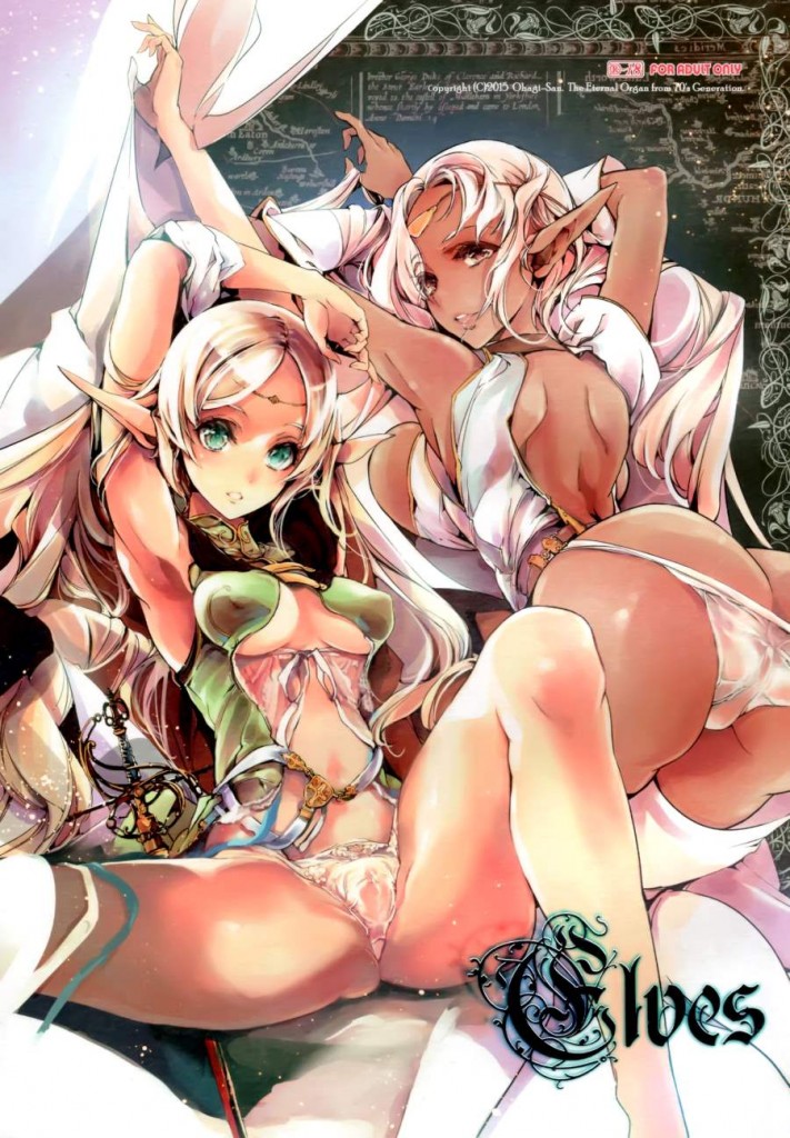A Love Story Between a Knight a Beautiful Elf, Record of Lodoss War Hentai Doujins.