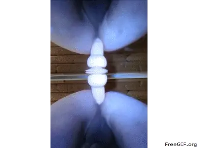 Fucked my Butthole