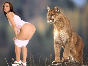 Funny panties down interesting mountain lion voyeur dat ass pic.