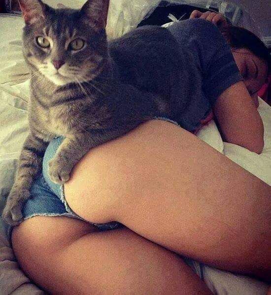 Guardian of the Booty