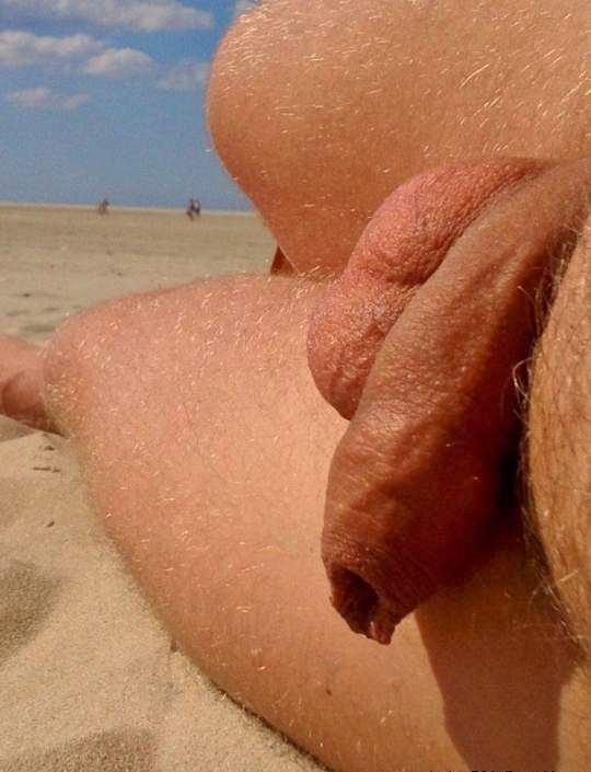 prepuce
