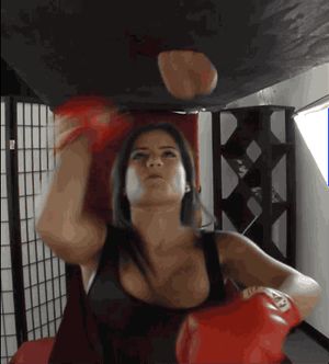 speedbag