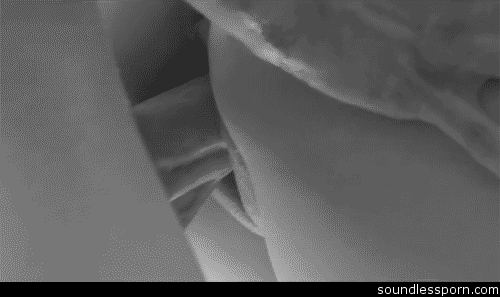 Insertion 87