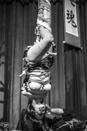 Classic Suspension Bondage