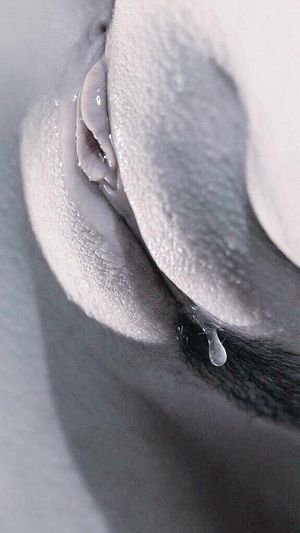 Chatte humide à lècher sans modération