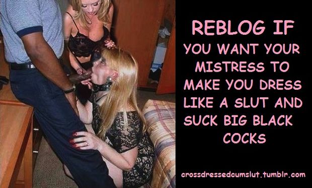 You need Sissy Training!