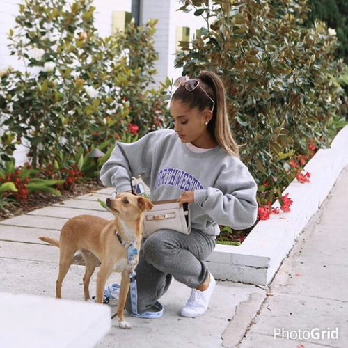 ariana grande, dog, and ariana image