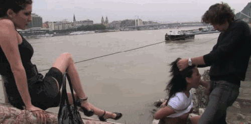 14231479.gif