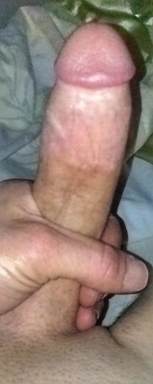Monotonouscok Picture
