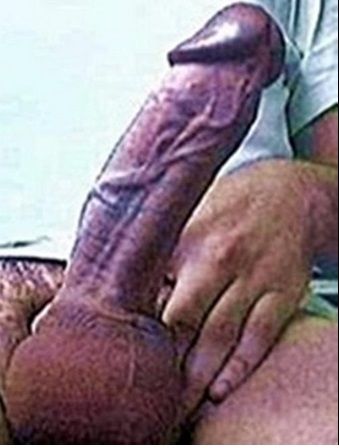 My Fat Cock