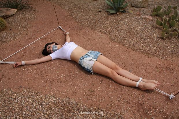 Outdoor Bondage