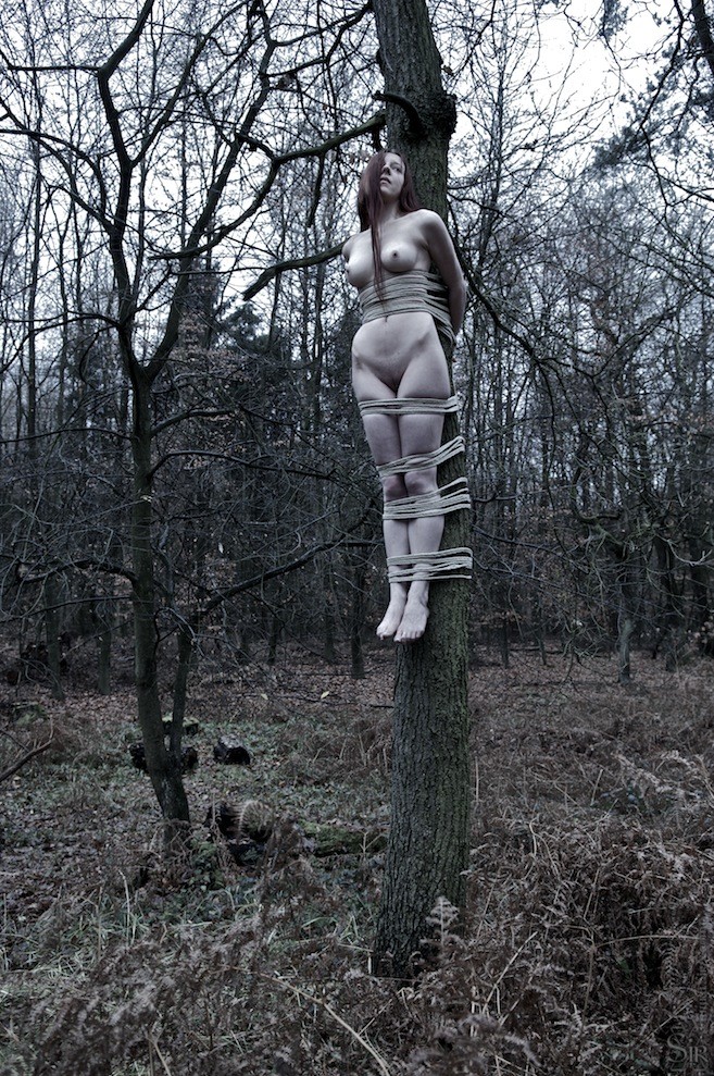 Up a tree