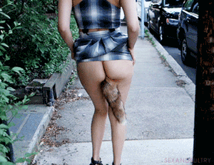 Nikki wagging her tail on the street!