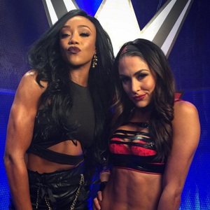 Re: Brie Should Just Wrestle In A Bra!