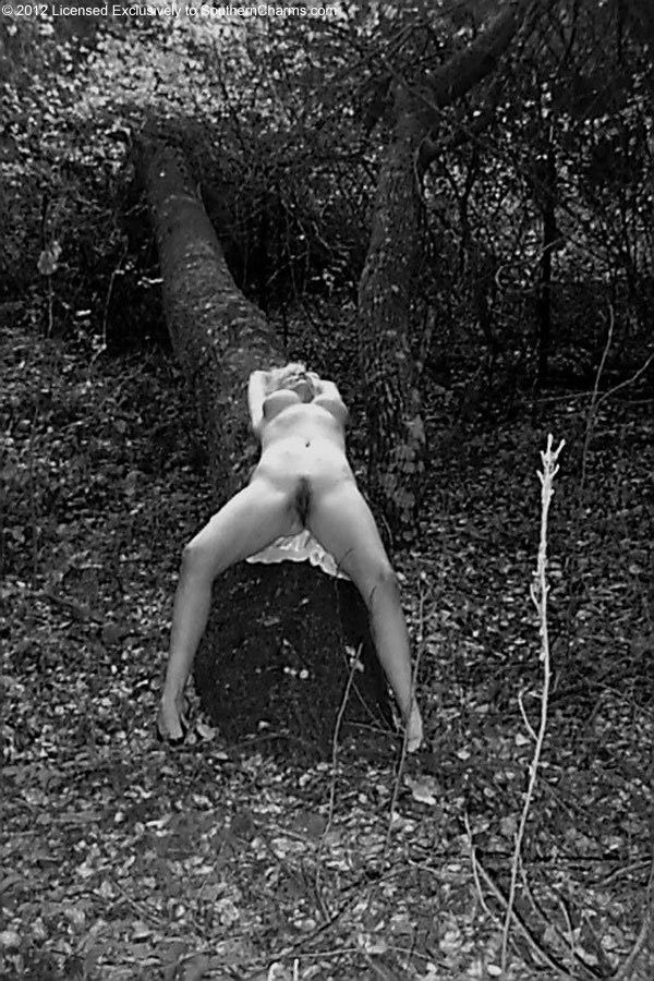 Vintage Nude Zoe Zane 280 Freeway Photo CA USA