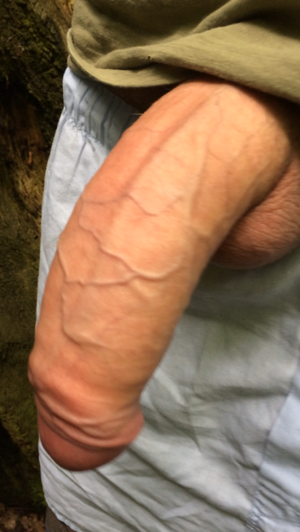 penispicsblog.tumblr.com