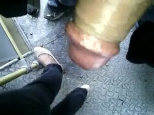 Despues De Hecharle El Semen A Perra En El Bus