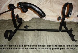 The BDSM Dog House