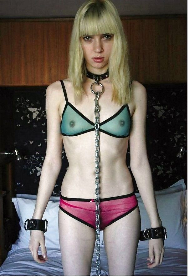 nice pet