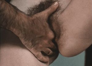 Lysa Thatcher. American Desire (1981, Lasse Braun).