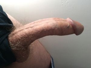 penispicsblog.tumblr.com