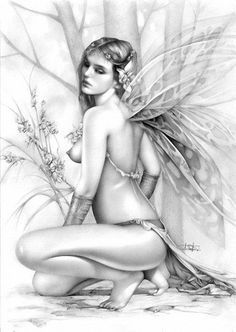 fairy nudes