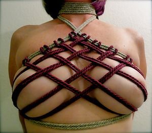 Big boobs in bondage 2