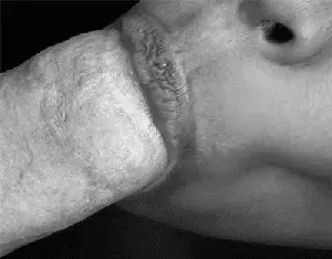 Vulumpcious lips -sucking dick