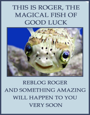 untexting: hoodoo-hoodlum: I’m so mad because this...