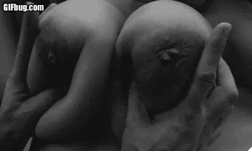 big tit gripping