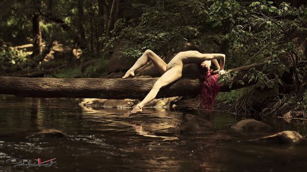 Petite on a tree over the river