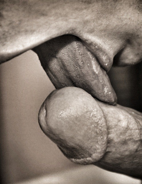 homosexfun.tumblr.com