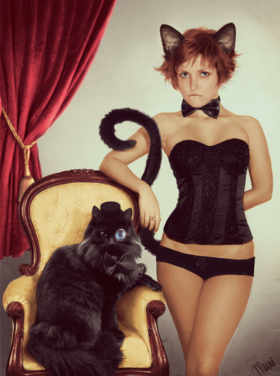 black cats