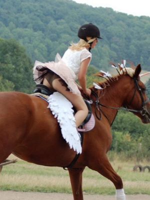 everwatchful:Excellent…a horsey upskirt…