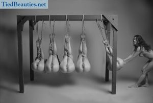 5 slaves tied, Newton’s cradle style!