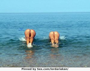 two asses swimming