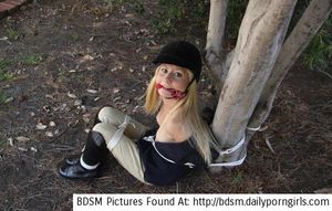 BDSM Pictures at my tumblr blog