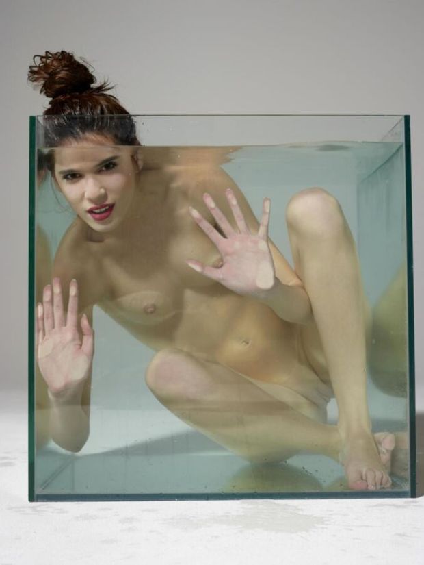 Nude in a box